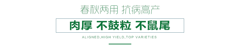 1557968814325934.jpg 詳情頁21.jpg