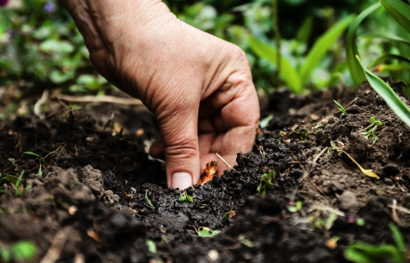 1608457655242289.png image.png