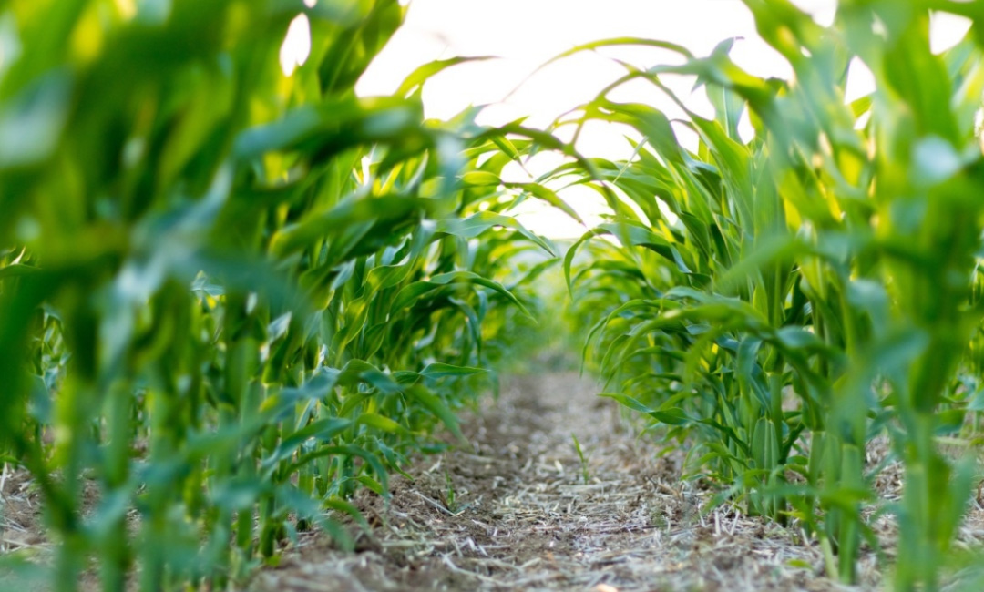 1646191093746236.jpg 01.jpg